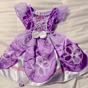 Sofia the First costume 2piece dress